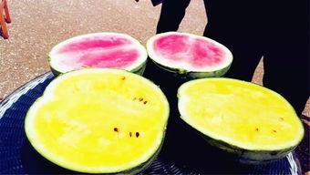 52吃瓜爆料免费吃瓜视频