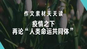 社会热点话题事件素材,XX事件背后的深思与启示